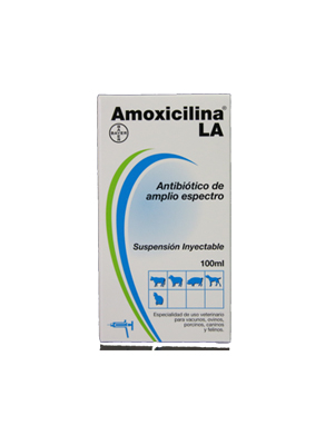 Amoxicilina LA