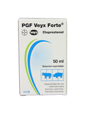 PGF Vexy Forte