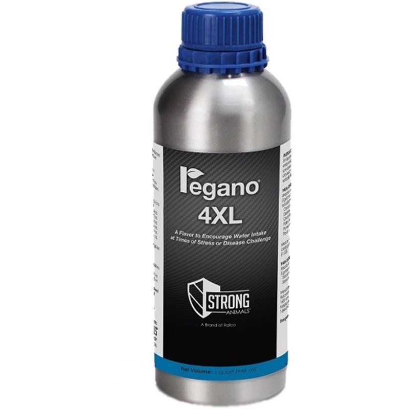 Regano 4XL