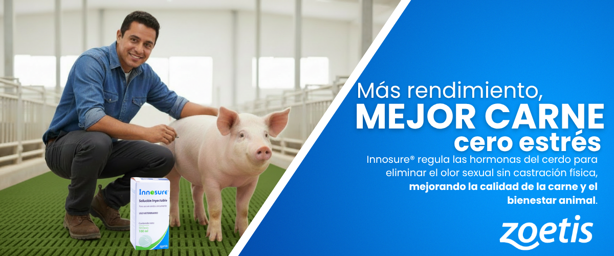 Productos porcicultura