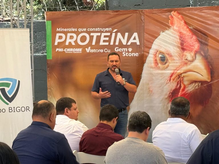 Grupo Bigor y Phibro impulsan la precisión nutricional con el lanzamiento de su nueva línea de minerales