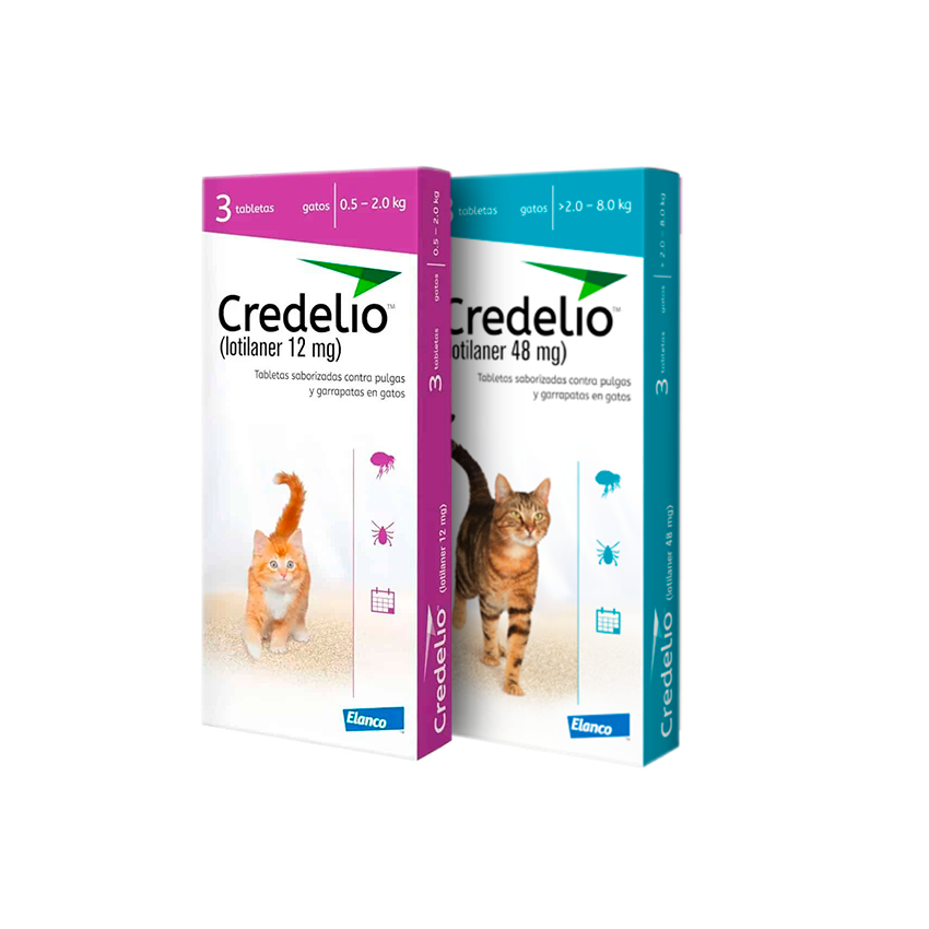 Credelio gato