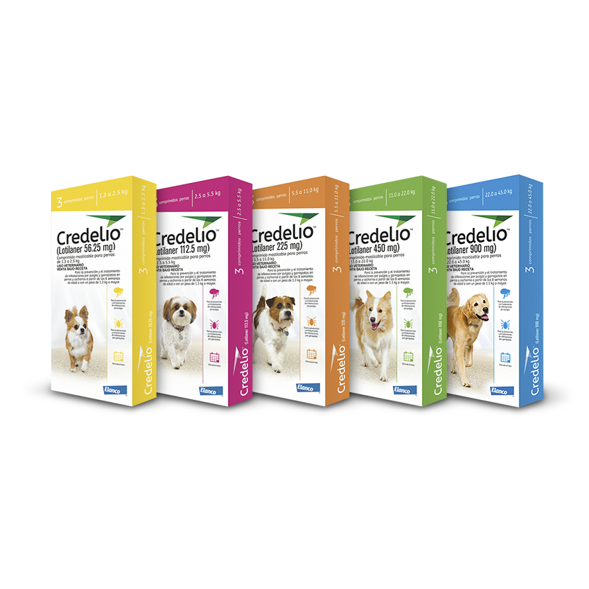 MEX_PET_Credelio_Group_850_850_MiMascota_Perros